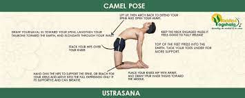 is-yoga-good-for-your-spine-camel-pose