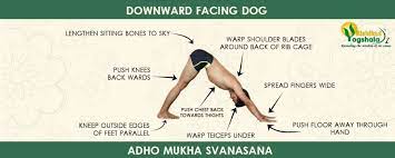 is-yoga-good-for-your-spine-downward-facing-dog-pose