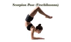 top-7-advance-yoga-poses-scorpion-pose