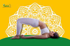 top-7-yoga-asanas-for-weight-loss-bridge-pose